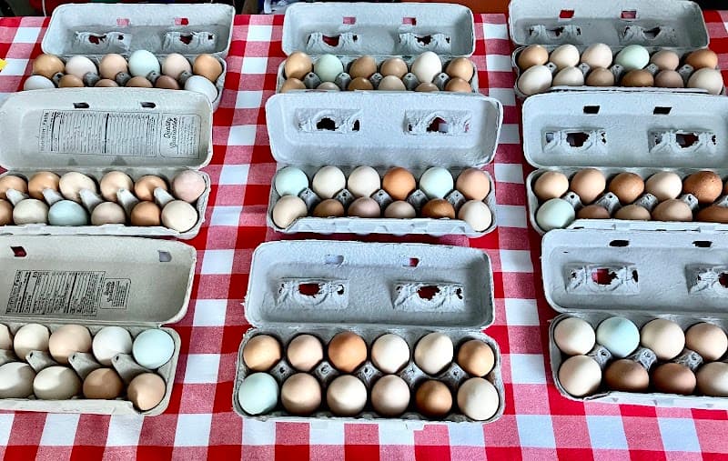 Hand to the Plough Homestead