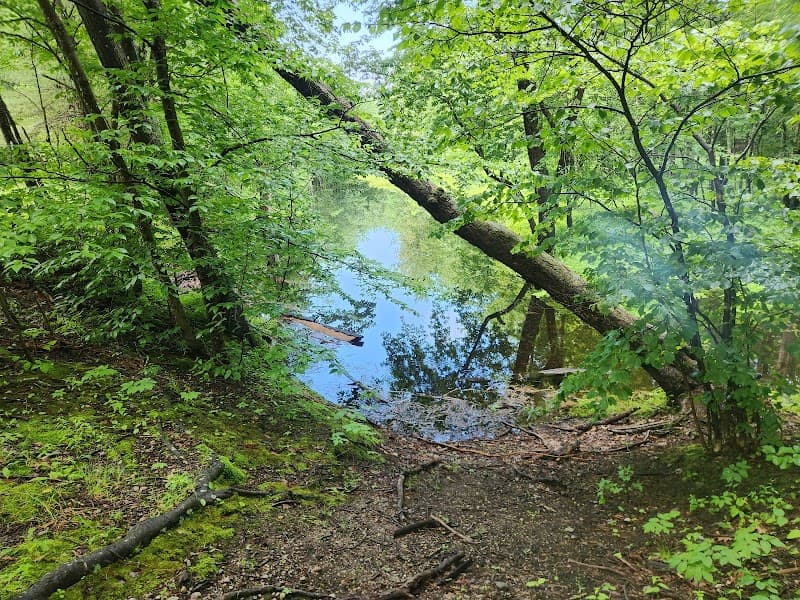 Northern Rail Trail