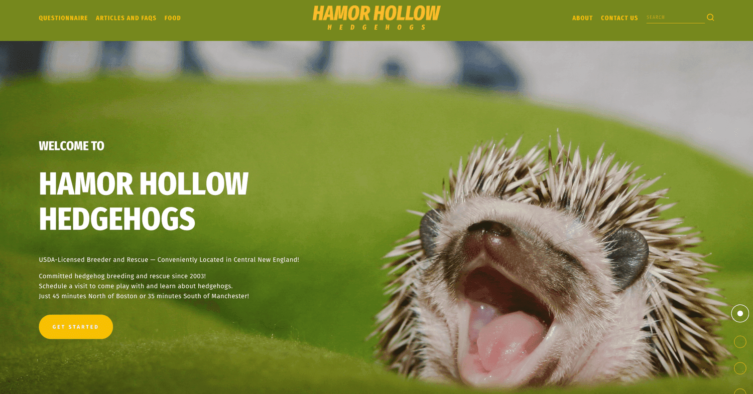 Hamor Hollow Hedgehogs