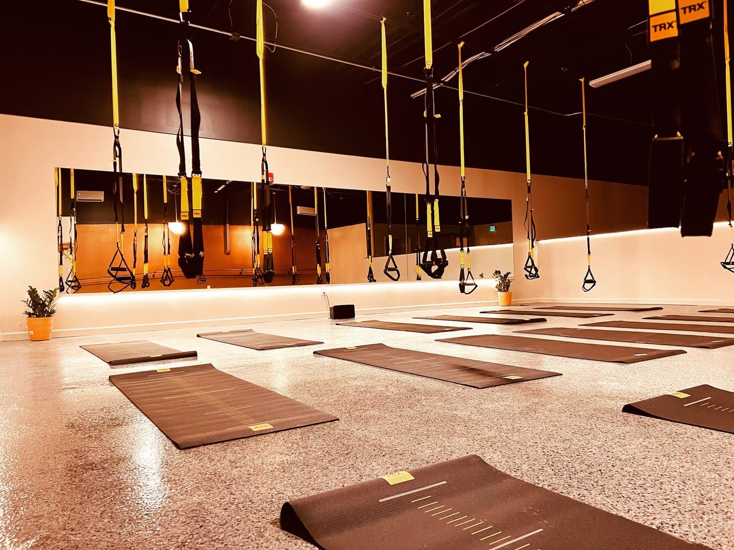 Studium Fitness