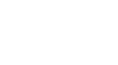 The Integrity Agency