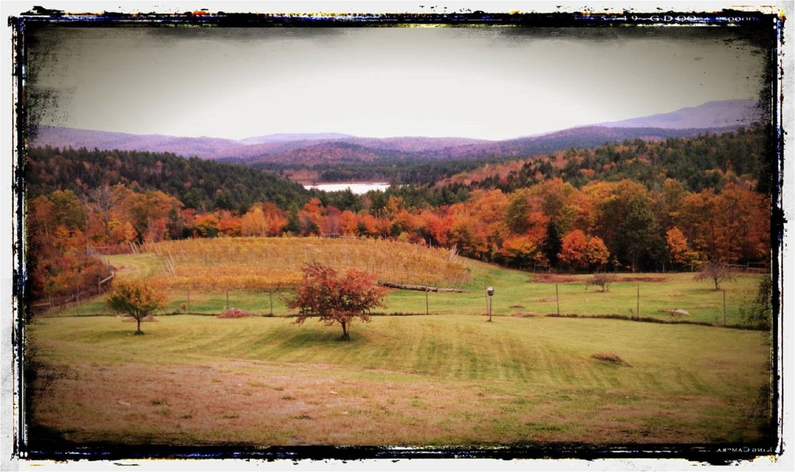 Haunting Whisper Vineyard & Spirits