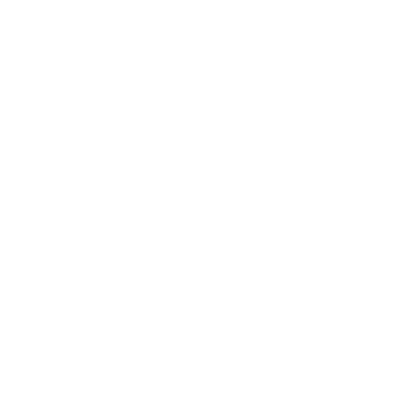 The Village Station