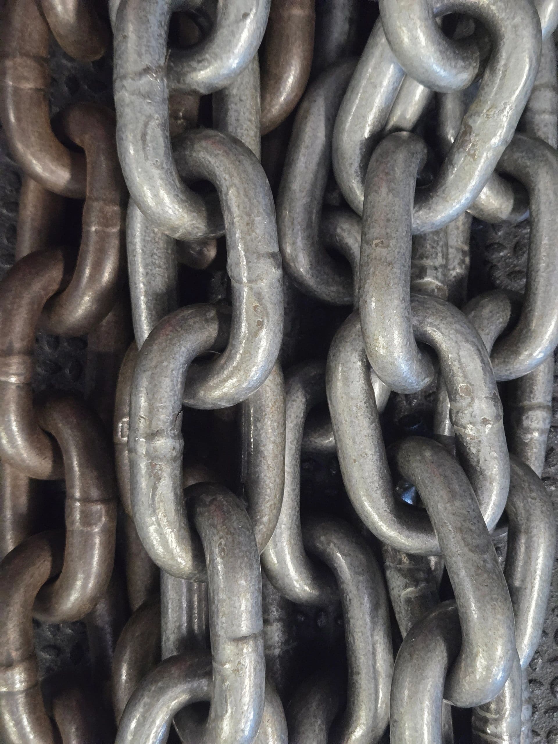 Ford Fitness Performance and Nutrition