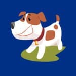 Dog Star Canine