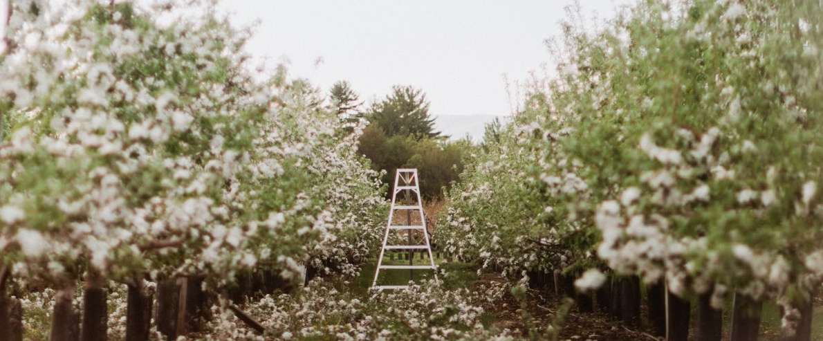 McKenzie's Farm