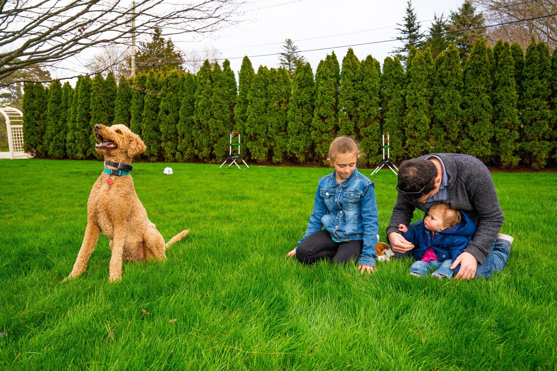 Seacoast Turf Care