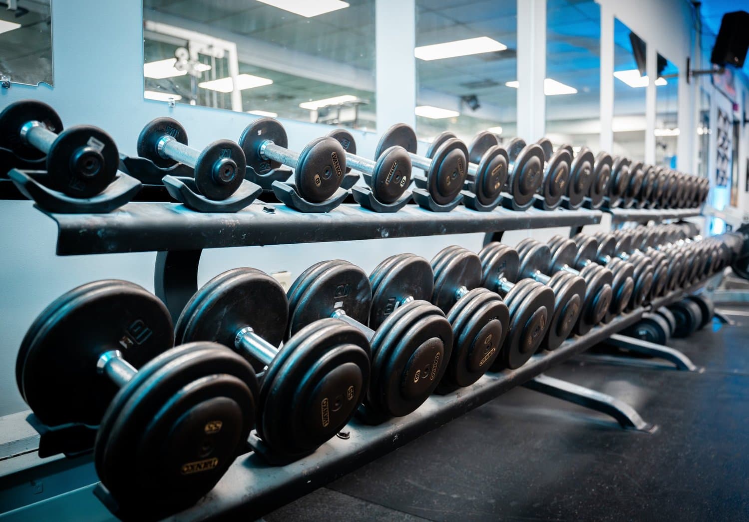 Odyssey Barbell Club