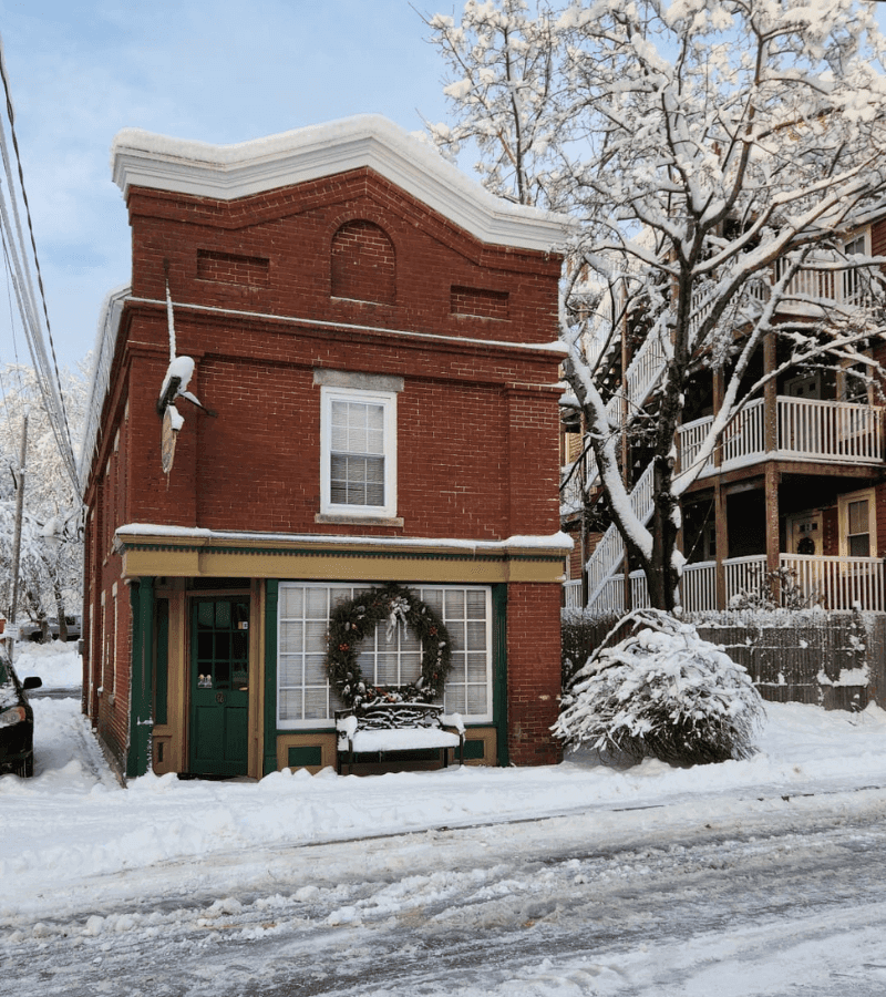 Village Veterinary Clinic