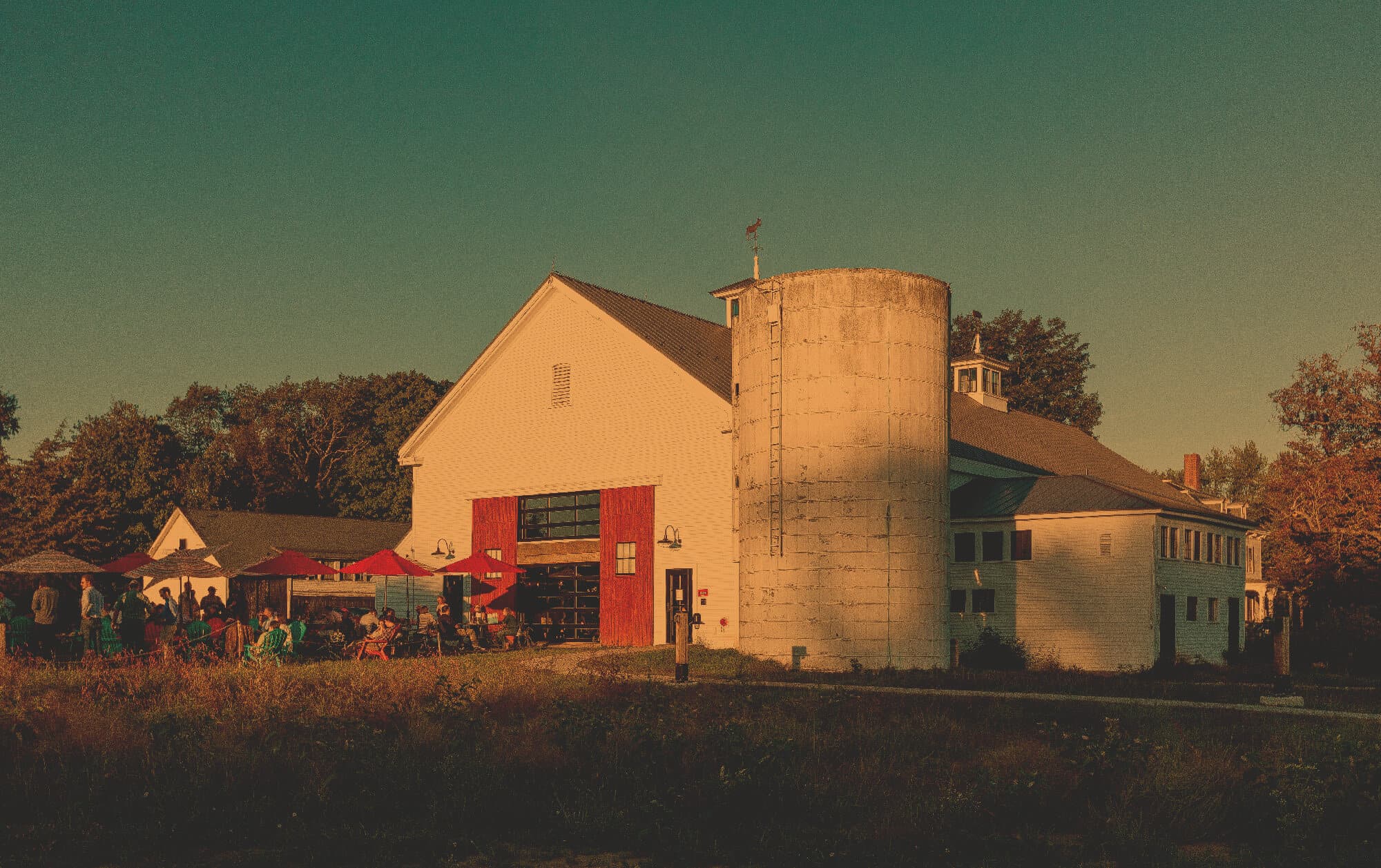 Throwback Brewery
