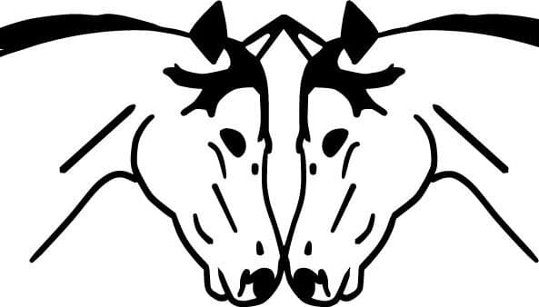 Live & Let Live Farm Inc.