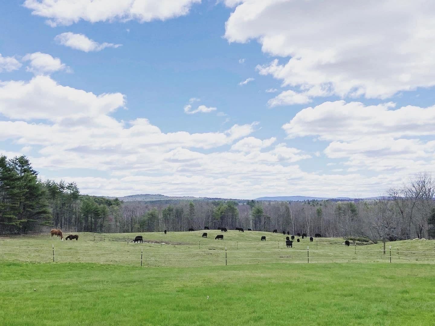 Half A Penny Farm LLC