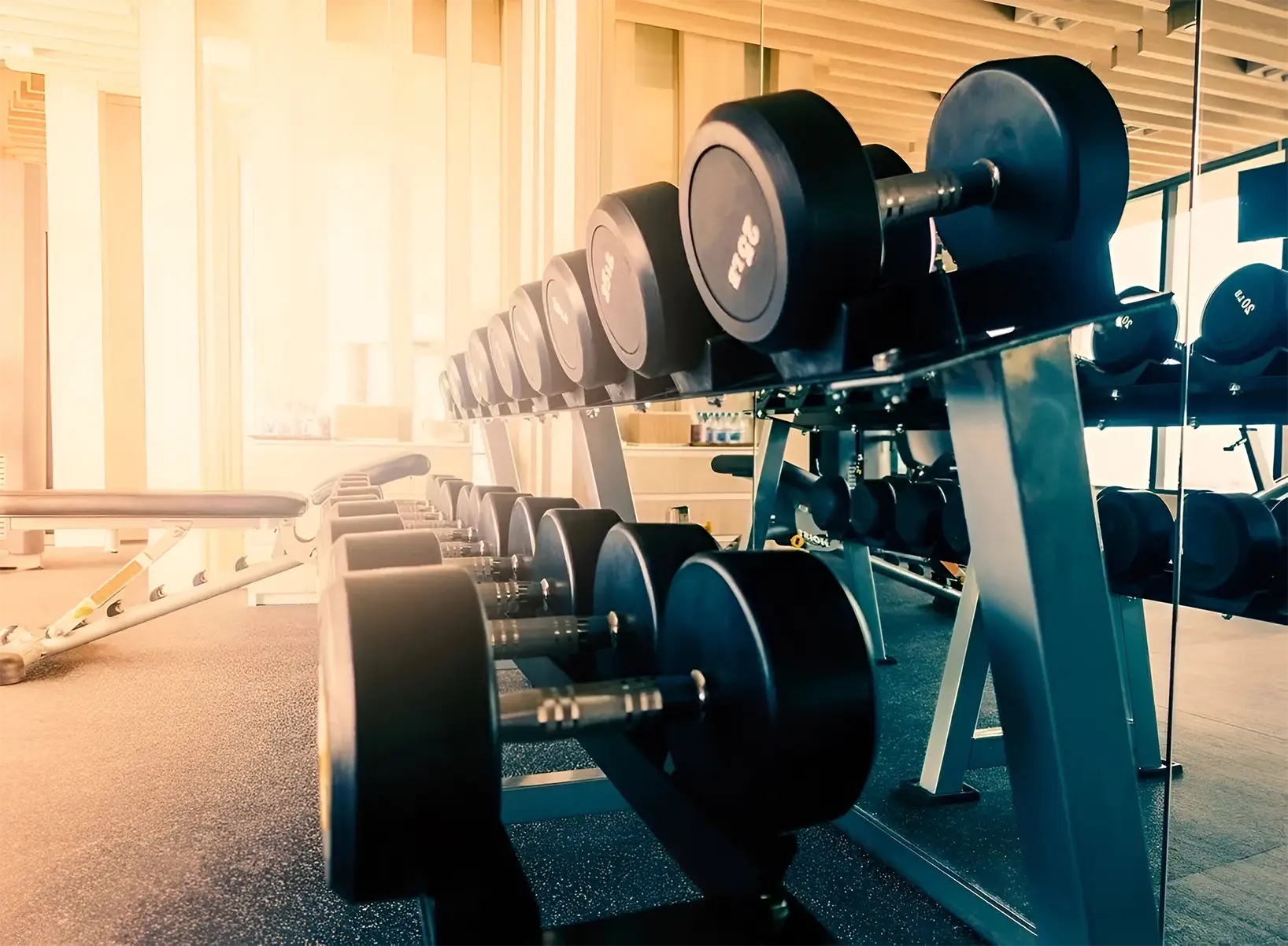 Olympia Gym & Fitness