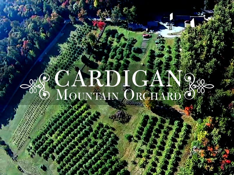 Cardigan Country Store