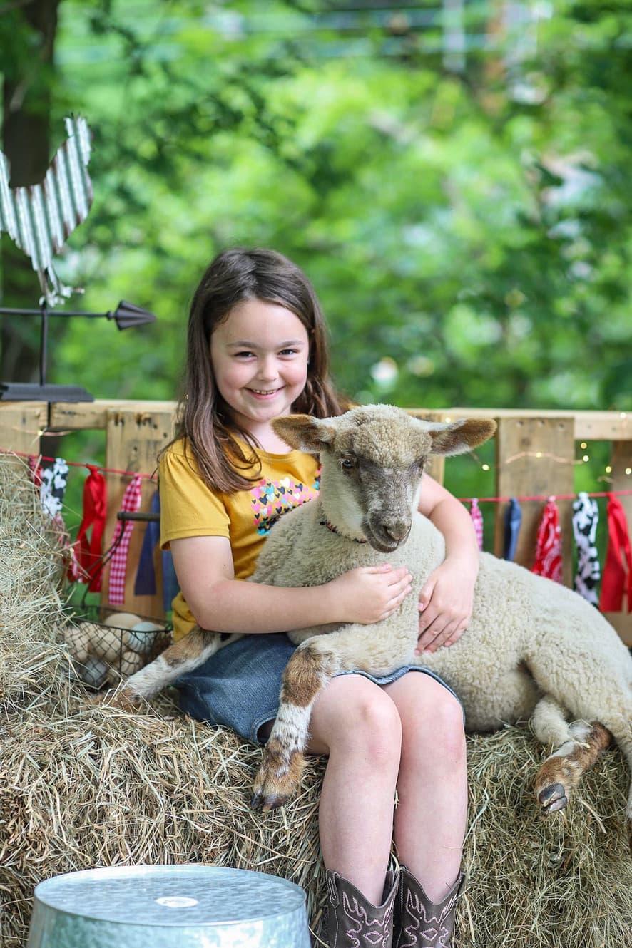 New England Party Animals