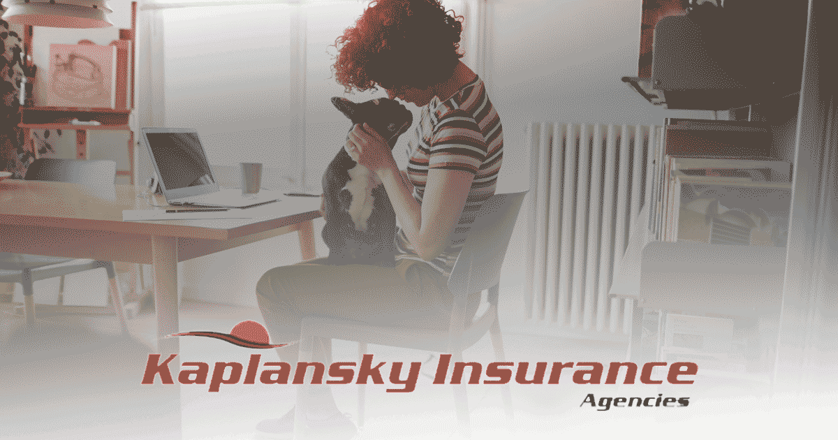 Kaplansky Insurance- Salem Branch