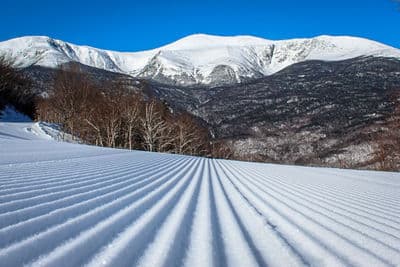 Wildcat Mountain