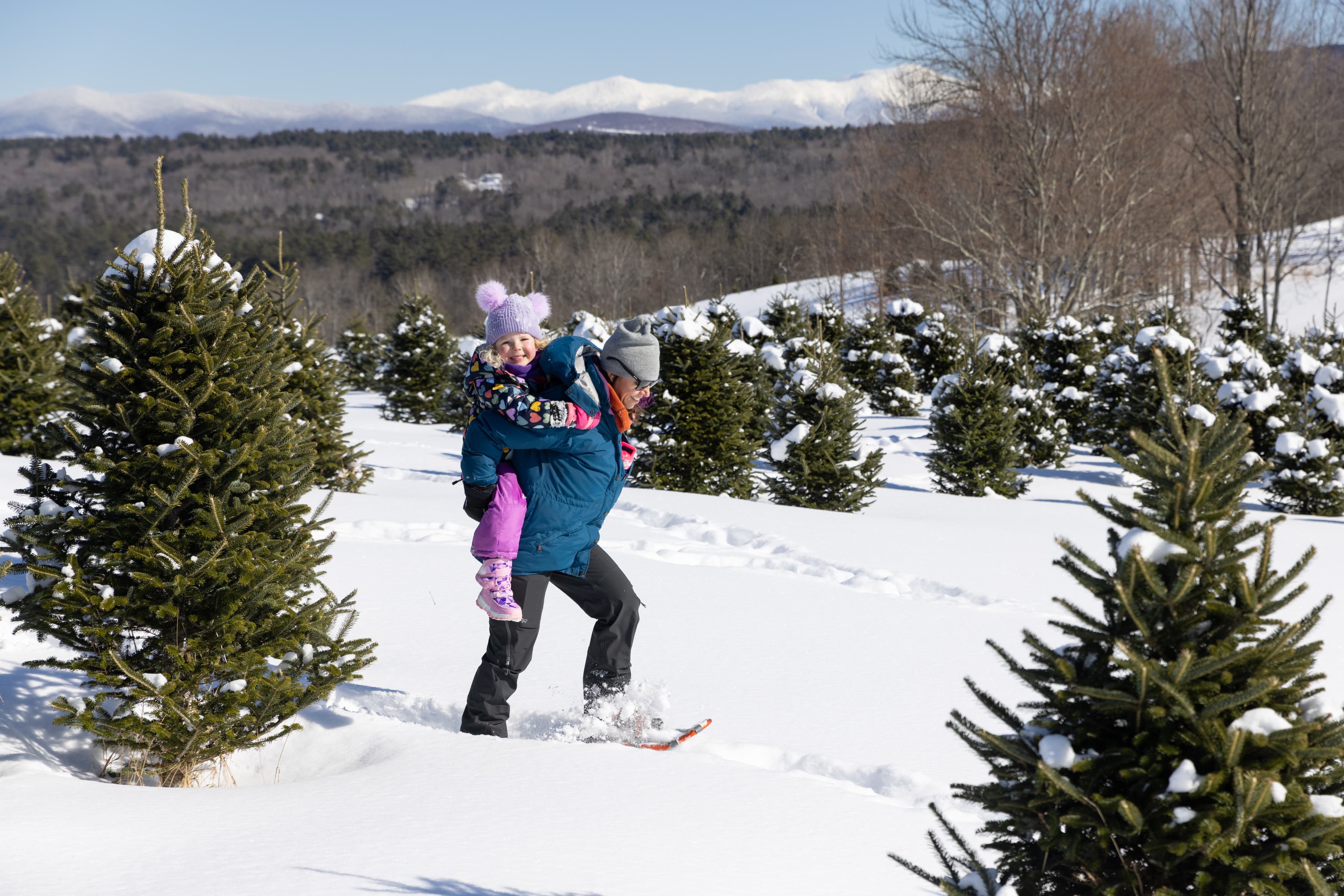 Madame Sherri Forest