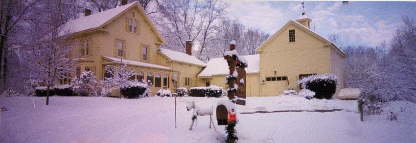 Wiswall House Antiques