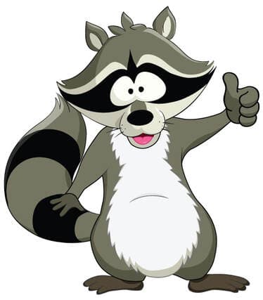 Raccoon Express $5 Car Wash