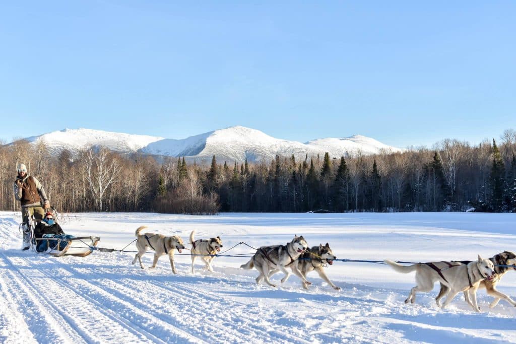 Muddy Paw Sled Dog Kennel