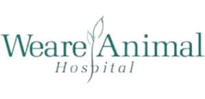 Weare Animal Hospital