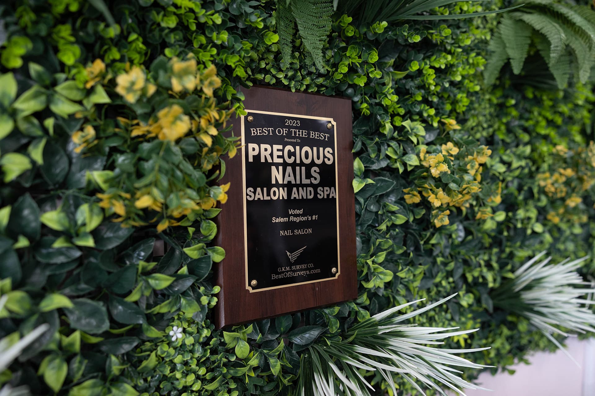 Precious Nails & Spa - Salem NH