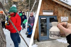 Turkey Street Maples