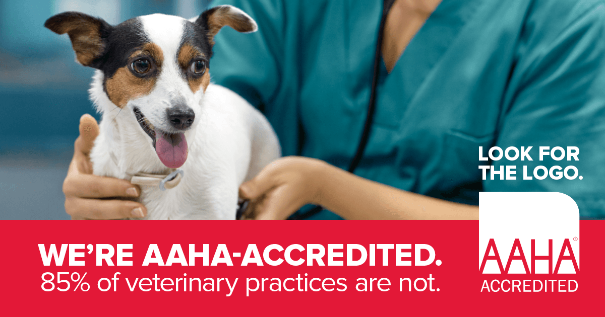 Stratham-Newfields Veterinary Hospital