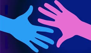 Hand in Hand Thrift Shop - Hand in Hand Senior Center