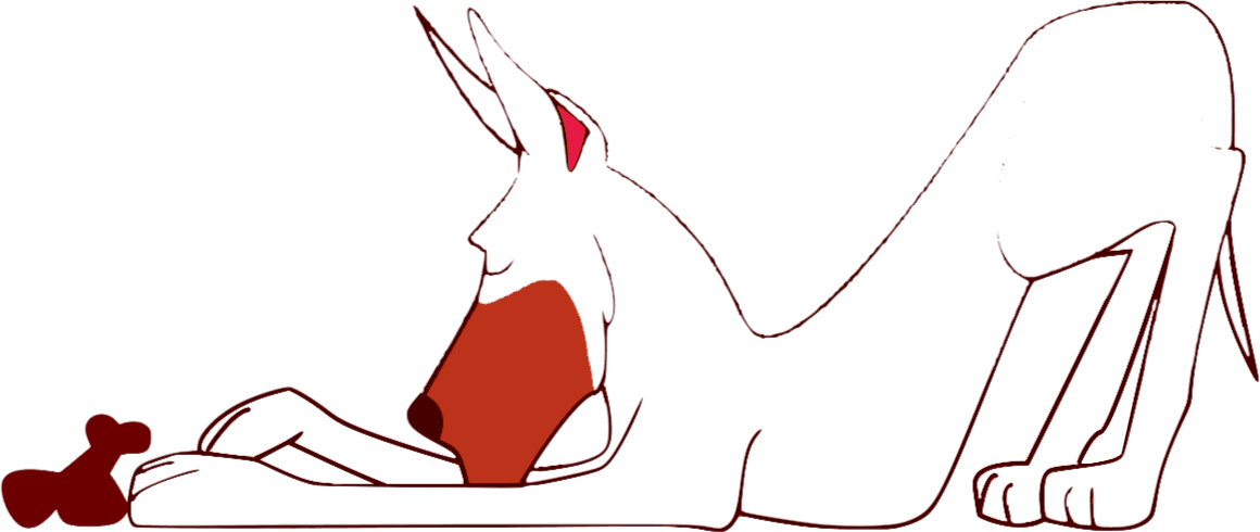 Village Sentry Pet Care LLC