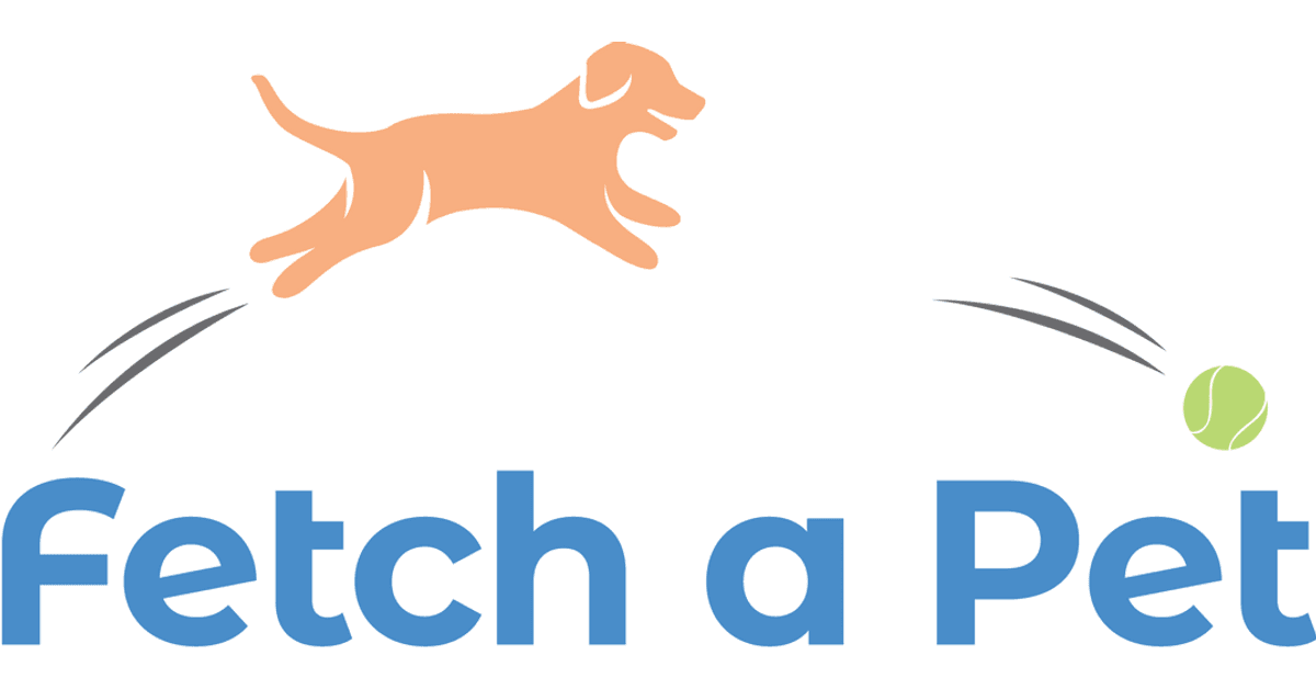 Fetch a Pet
