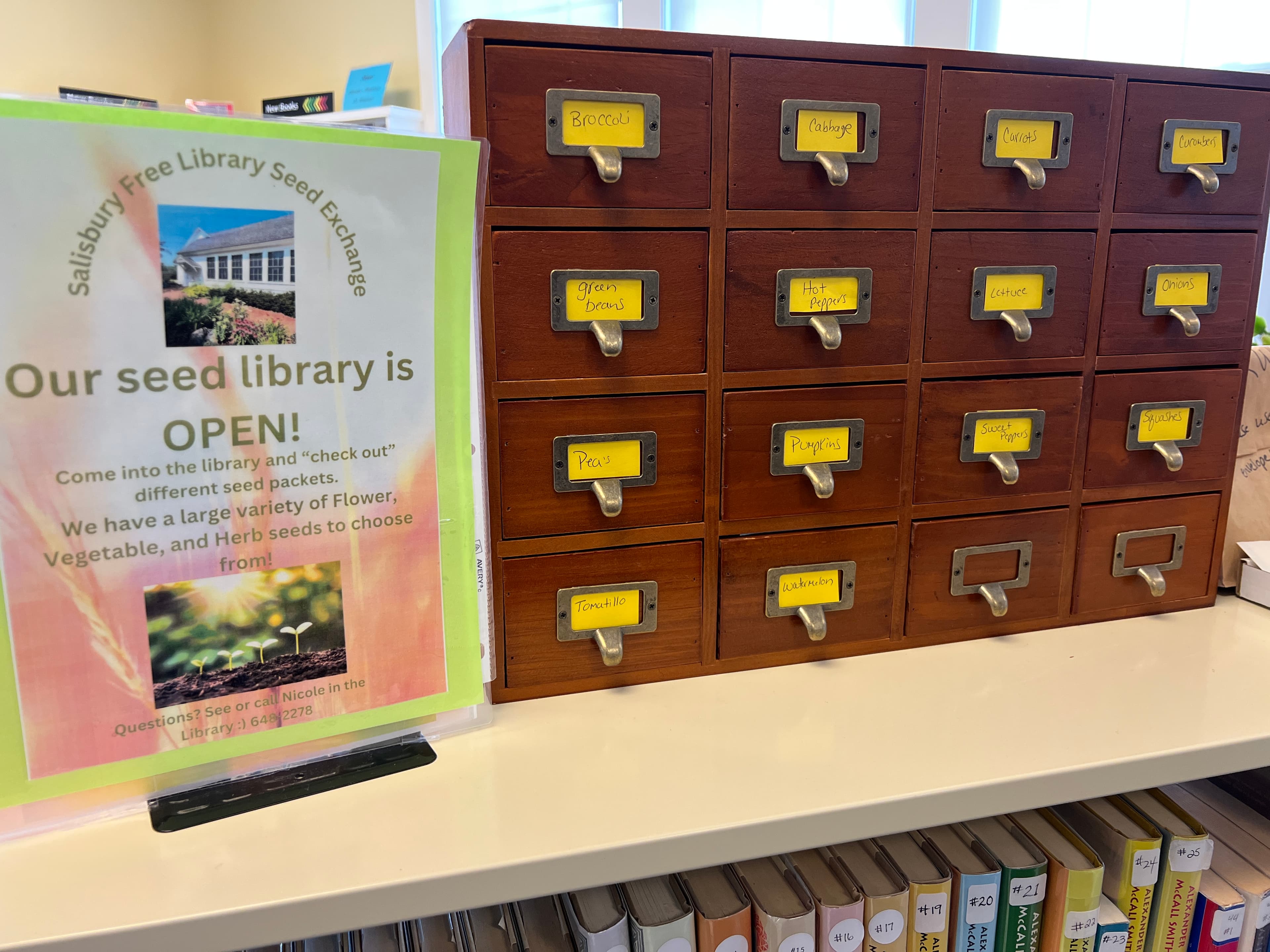 Salisbury Free Library, NH