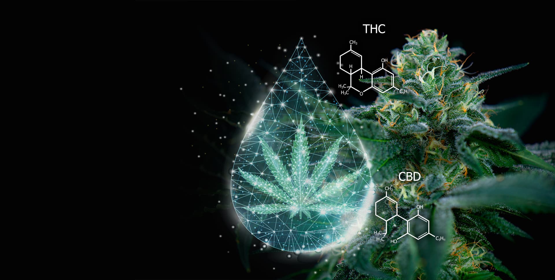 GraniteLeaf Cannabis