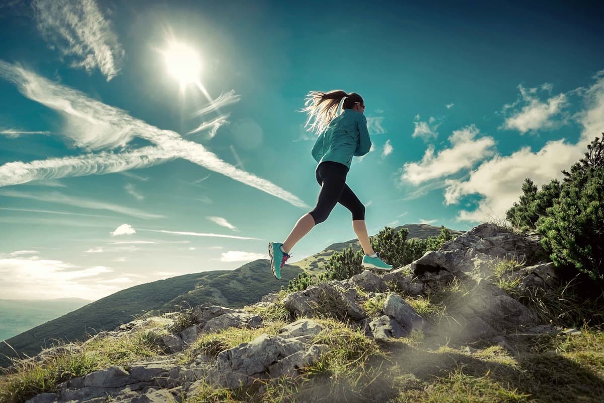 Performance Health Spine & Sport Therapy