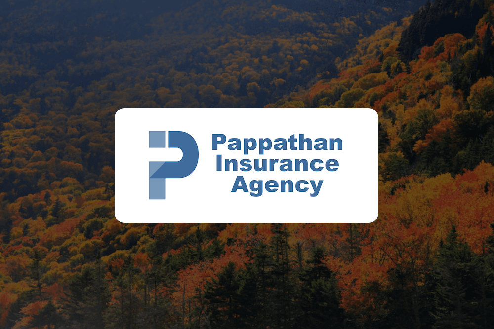 Pappathan Insurance Agency
