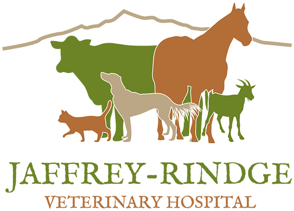 Jaffrey-Rindge Veterinary Hospital