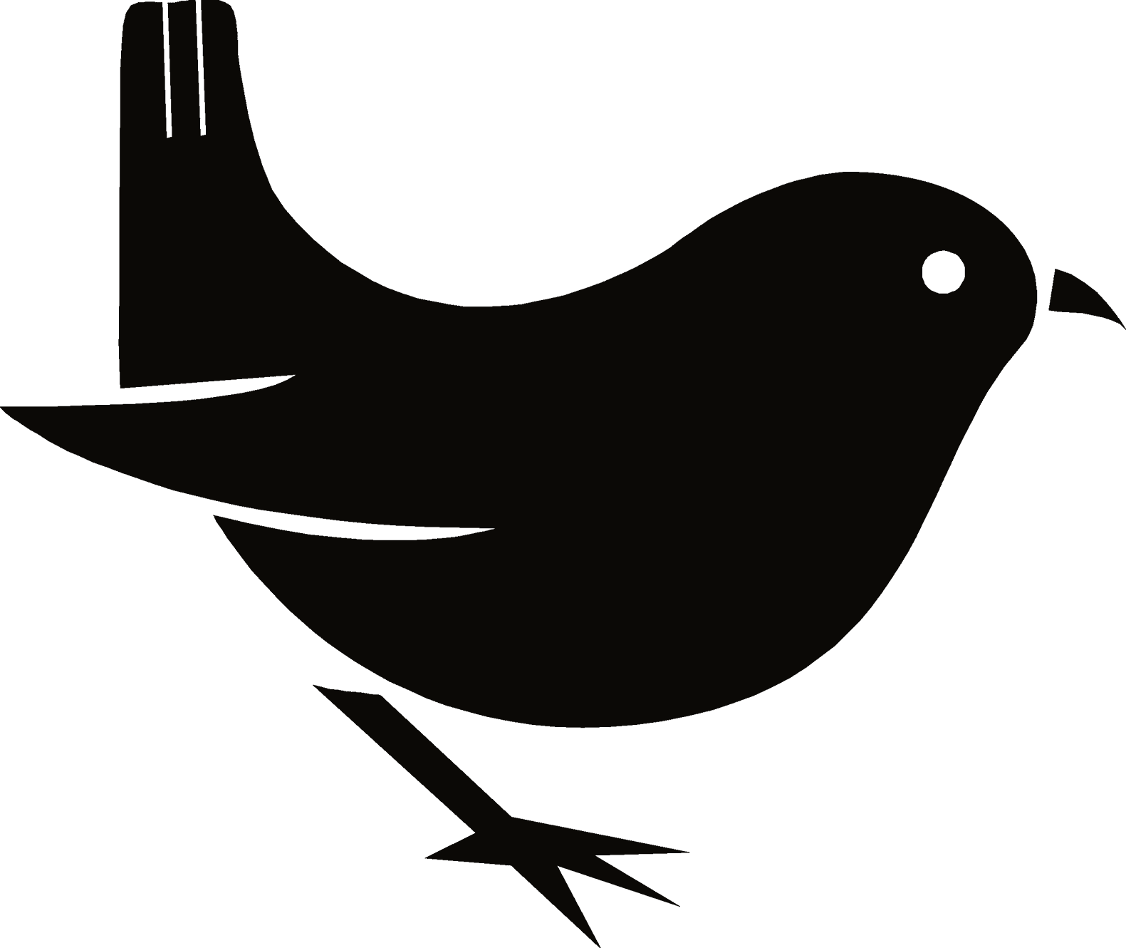 Bowerbird & Friends