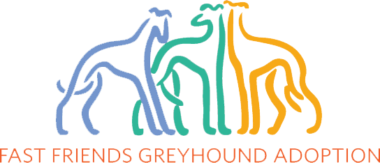 Fast Friends Greyhound Adoption