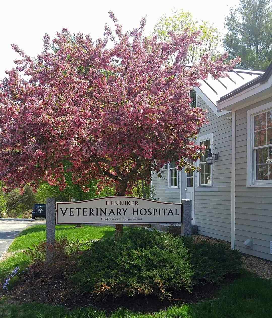 Henniker Veterinary Hospital