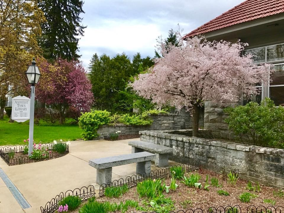 Amherst Town Library