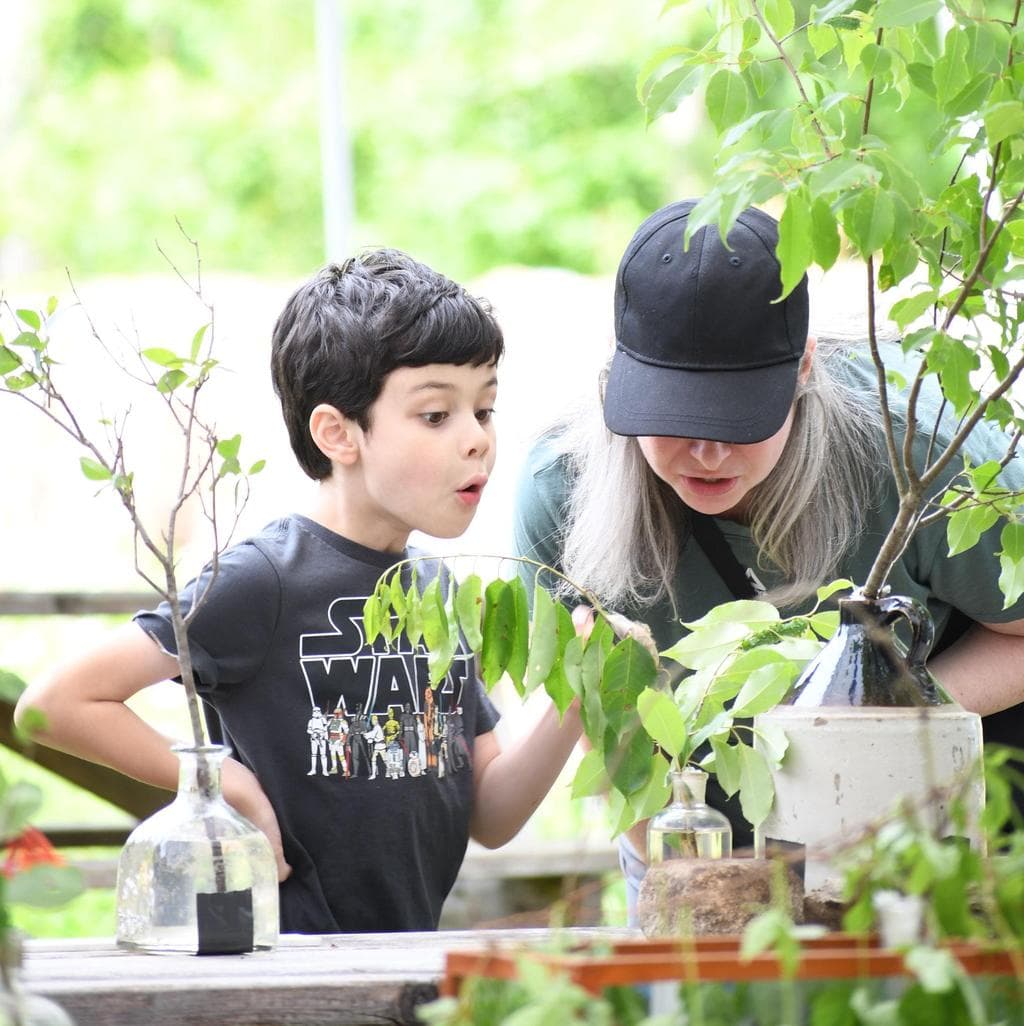 The Caterpillar Lab at Bedrock Gardens