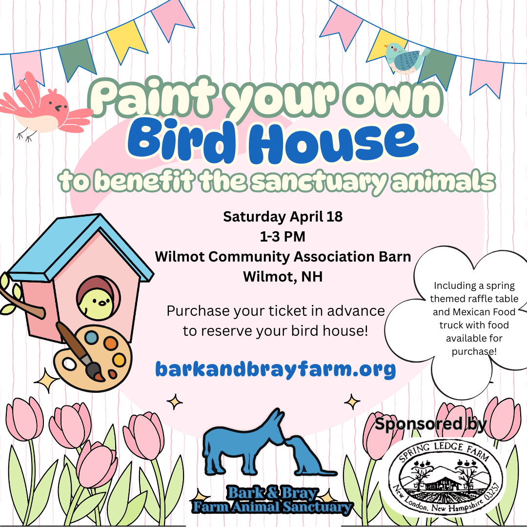 Paint your own bird house to benefit animals
